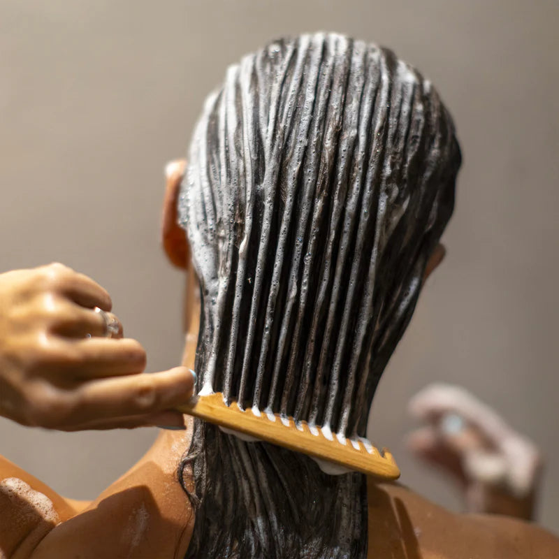 Festes Bio-Shampoo – Für trockenes Haar